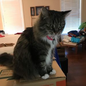 Meet your Posher, Tina